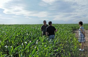 紀(jì)文楠董事長檢查境外園區(qū)種植工作